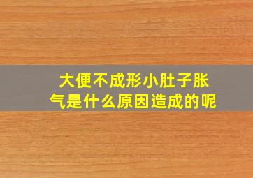 大便不成形小肚子胀气是什么原因造成的呢