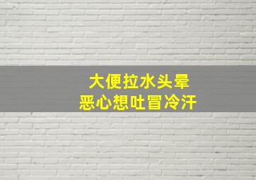 大便拉水头晕恶心想吐冒冷汗