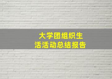 大学团组织生活活动总结报告