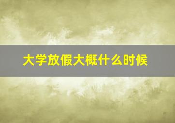 大学放假大概什么时候