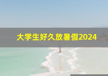 大学生好久放暑假2024