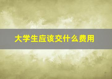 大学生应该交什么费用