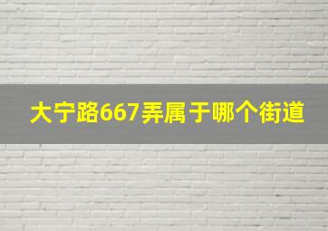 大宁路667弄属于哪个街道