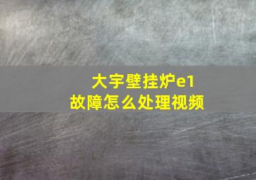 大宇壁挂炉e1故障怎么处理视频