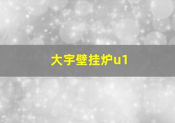 大宇壁挂炉u1