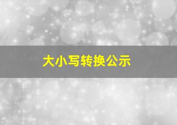 大小写转换公示