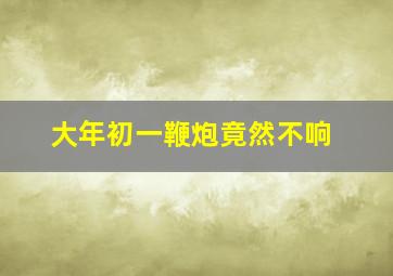 大年初一鞭炮竟然不响