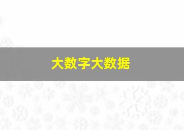 大数字大数据