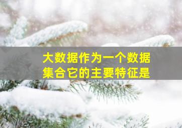 大数据作为一个数据集合它的主要特征是