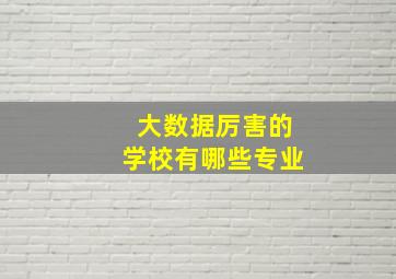 大数据厉害的学校有哪些专业