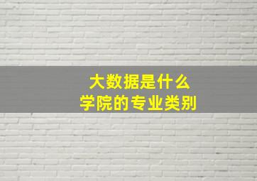 大数据是什么学院的专业类别