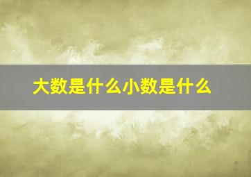 大数是什么小数是什么