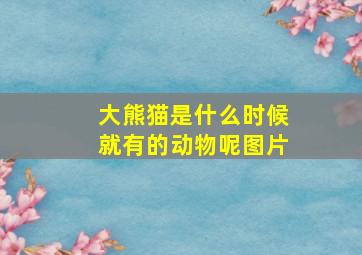 大熊猫是什么时候就有的动物呢图片