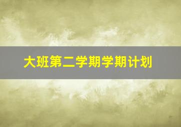 大班第二学期学期计划