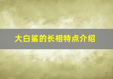 大白鲨的长相特点介绍