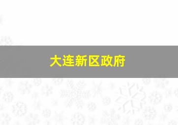 大连新区政府