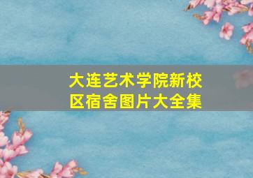 大连艺术学院新校区宿舍图片大全集