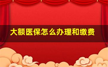 大额医保怎么办理和缴费