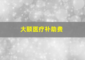 大额医疗补助费