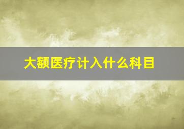 大额医疗计入什么科目