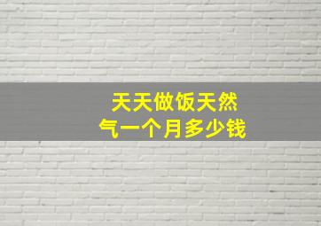 天天做饭天然气一个月多少钱