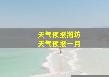 天气预报潍坊天气预报一月