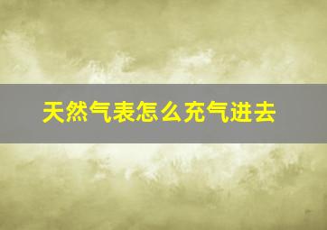 天然气表怎么充气进去