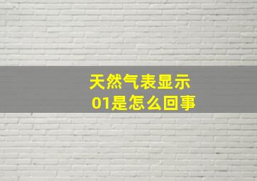 天然气表显示01是怎么回事