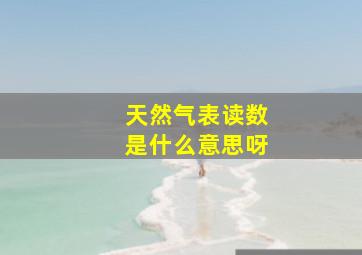 天然气表读数是什么意思呀