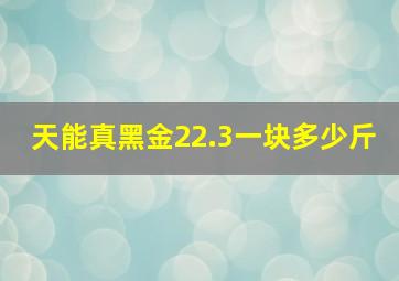 天能真黑金22.3一块多少斤