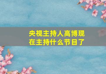 央视主持人高博现在主持什么节目了