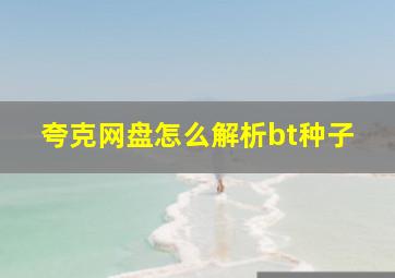 夸克网盘怎么解析bt种子