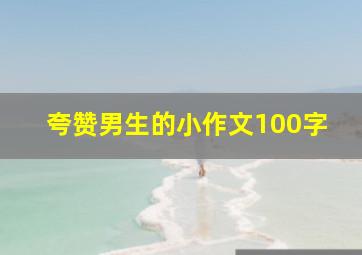 夸赞男生的小作文100字