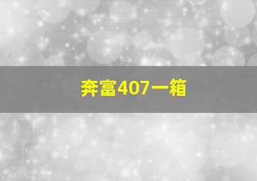 奔富407一箱