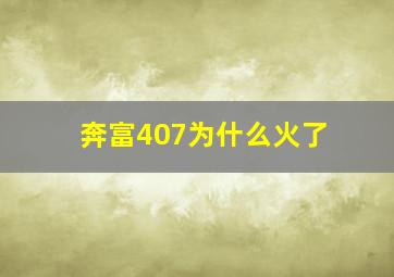 奔富407为什么火了