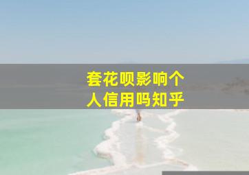 套花呗影响个人信用吗知乎