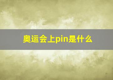 奥运会上pin是什么