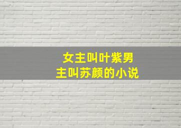 女主叫叶紫男主叫苏颜的小说