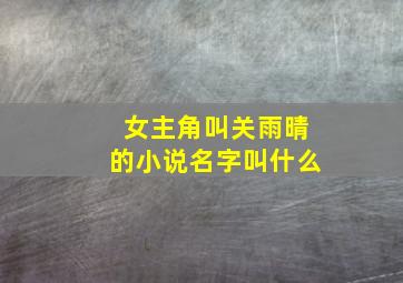 女主角叫关雨晴的小说名字叫什么