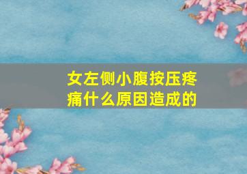 女左侧小腹按压疼痛什么原因造成的