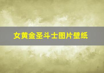 女黄金圣斗士图片壁纸