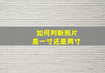 如何判断照片是一寸还是两寸