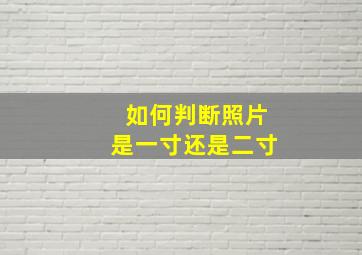 如何判断照片是一寸还是二寸