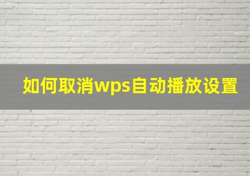 如何取消wps自动播放设置