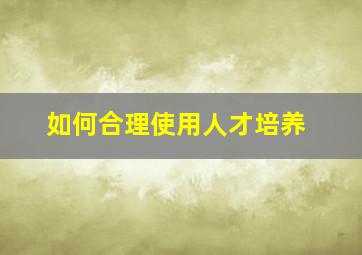 如何合理使用人才培养