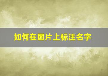 如何在图片上标注名字