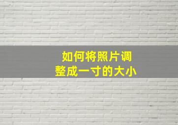 如何将照片调整成一寸的大小