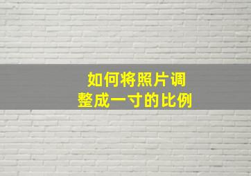 如何将照片调整成一寸的比例