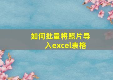 如何批量将照片导入excel表格