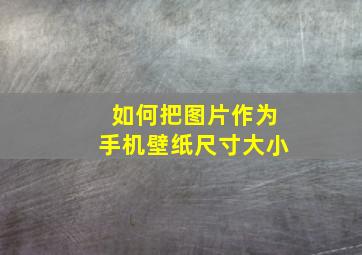 如何把图片作为手机壁纸尺寸大小